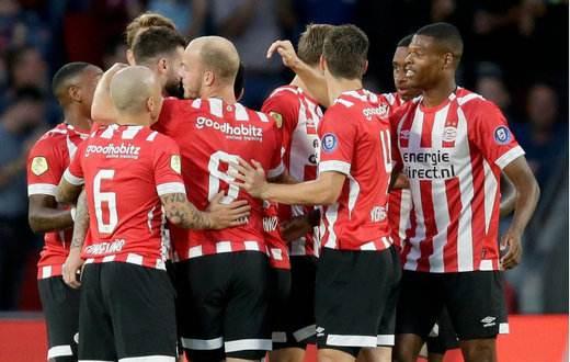 家中花园或 家中花园或