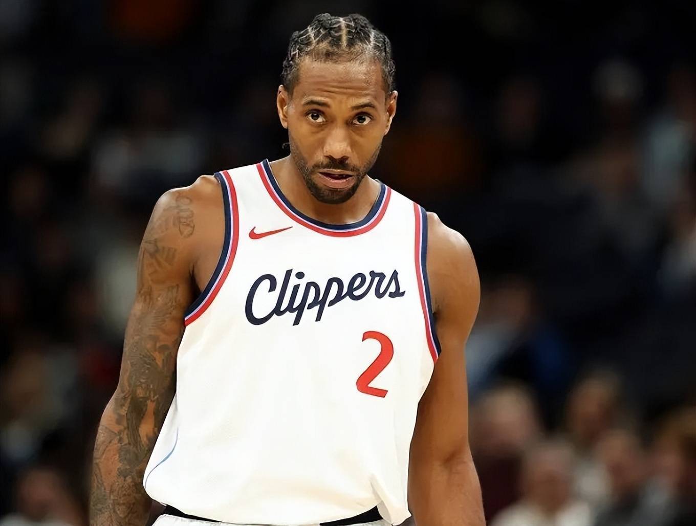 观赏性更强 观赏性更强